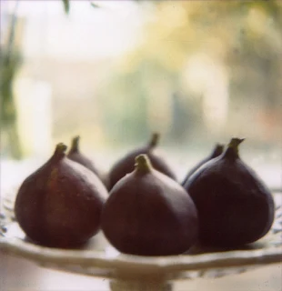 hors d'œuvre aux figues fraiches du midi de la France