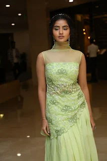 Actress Anupama Parameswaran at Karthikeya 2 Movie Success Meet