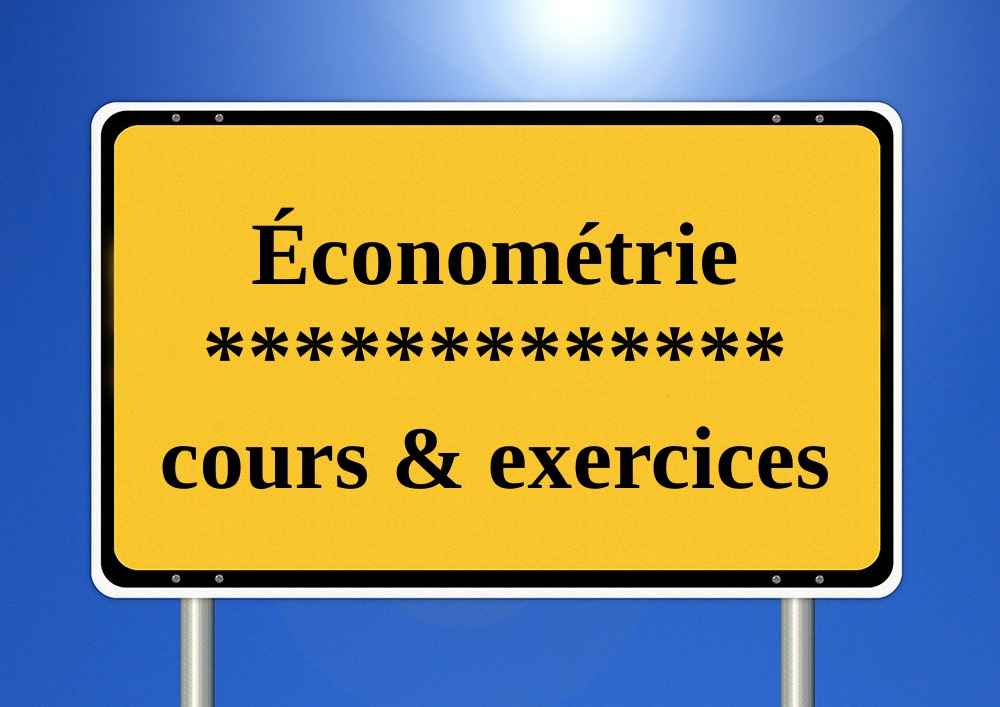 Téléchargez PDF économétrie cours + exercices