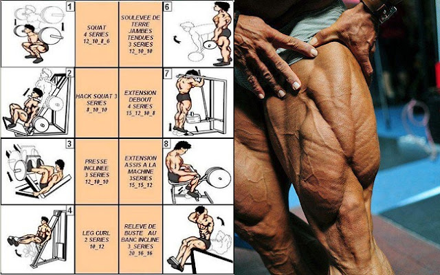 Bodybuilding Exercises For Your Legs