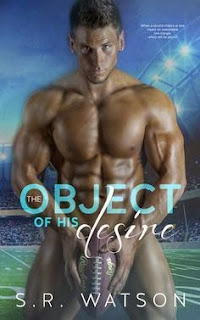 ebook erotica review lady porn college romance sports