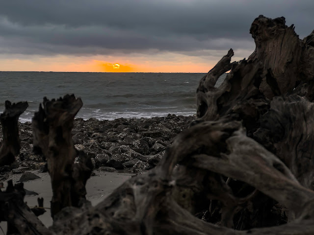 Driftwood Beach - Jekyll Island