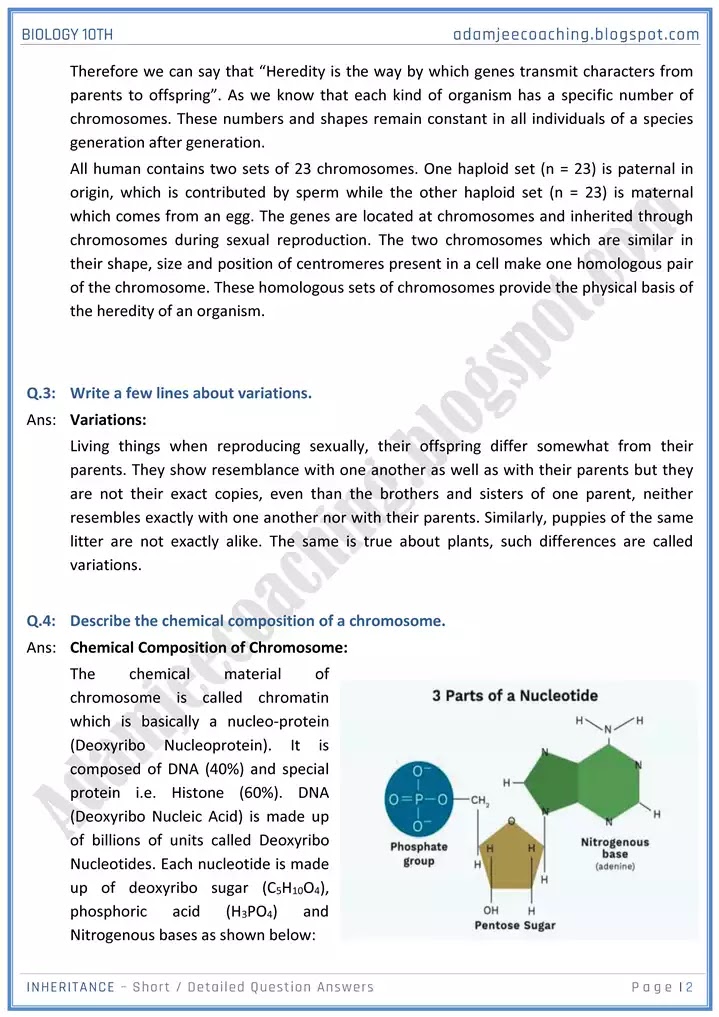 inheritance-short-and-detailed-answer-questions-biology-10th