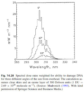 Figure 14.28 from Intermediate Physics for Medicine and Biology, showing the spectral dose rate weighted for ability to damage DNA.
