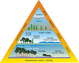 Contoh Gambar Ekosistem Darat - Contoh Soal2