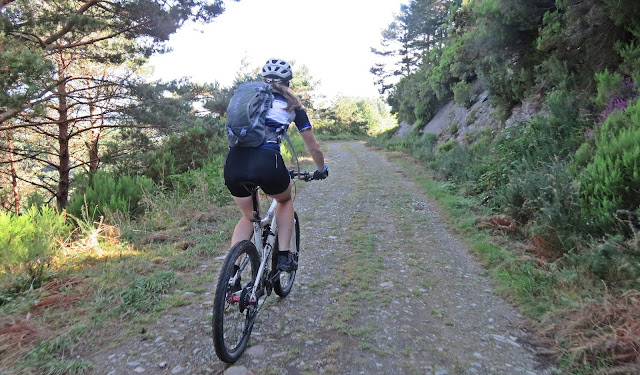 Ruta por el Bosque de Carballido