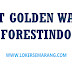 Lowongan Pekerjaan Marketing PT Golden Way Forestindo di Semarang