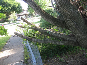 how to remove a fallen tree off a fence, break fenceremove 