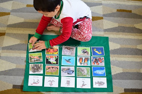 VERTEBRATE ANIMALS SORTING CARDS