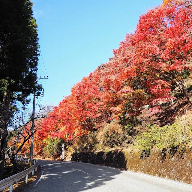 秩父　三峯神社　紅葉