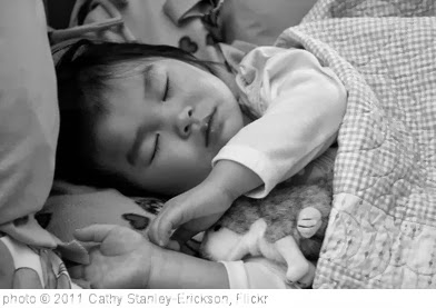 'Day 11: can't even imagine' photo (c) 2011, Cathy Stanley-Erickson - license: http://creativecommons.org/licenses/by-nd/2.0/