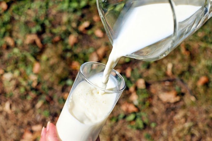 7 manfaat kesihatan minum susu kolostrum 