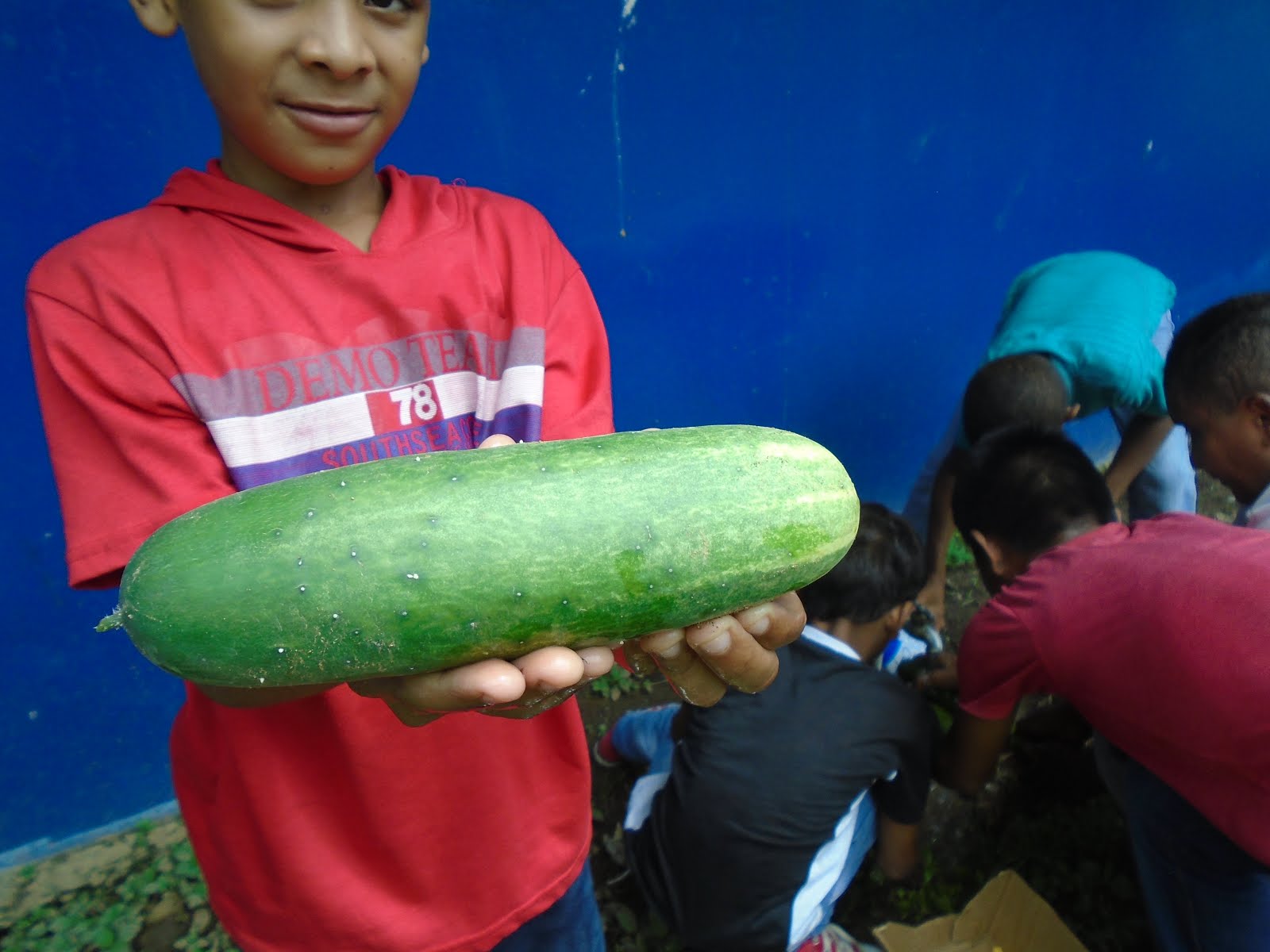 Huerto Escolar