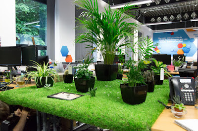 Trang trí vườn cây mini cho nội thất văn phòng hiện đại 10