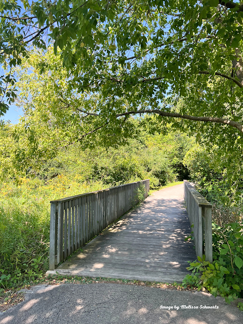Following a wooden bridge in Bender Park, I soon found myself wandering through woodlands up on a bluff.