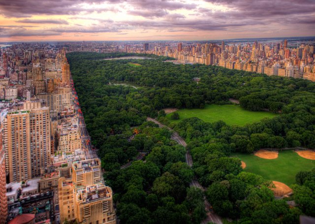 Central Park, New York City