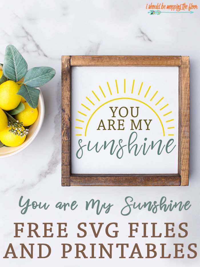 Free You Are My Sunshine Svg And Printables I Should Be Mopping The Floor