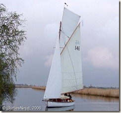 Sally A42-146