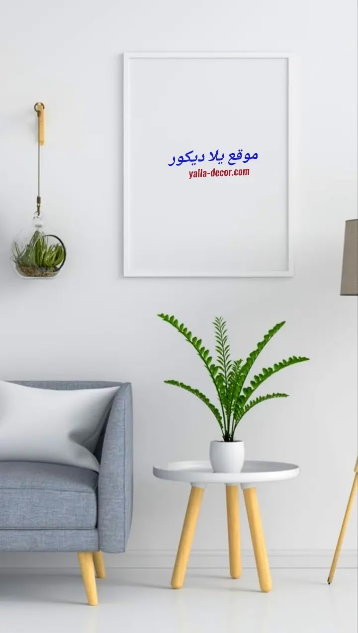 دهانات وألوان حوائط 2025 احدث الوان الدهانات