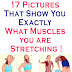 17 Pictures That Show You Exactly What Muscles you are Stretching !