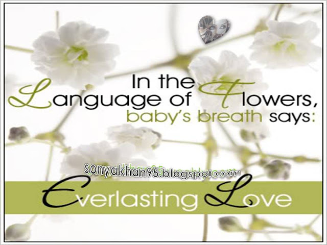 download flower love language pictures