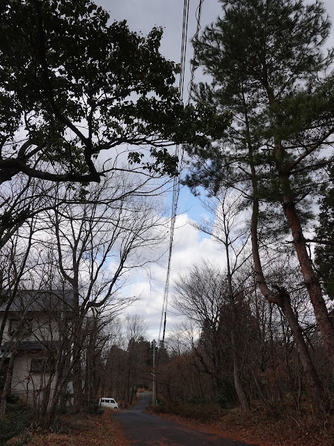 別荘地　大山の森