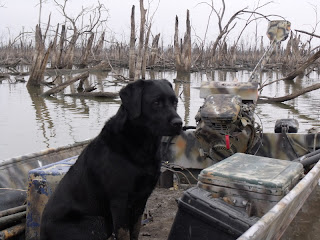 alt="North Texas Duck Hunting"