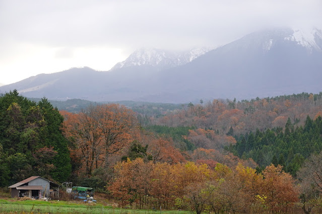 鳥取県西伯郡大山町赤松 付近の眺望