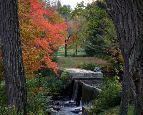 Landscape Nh