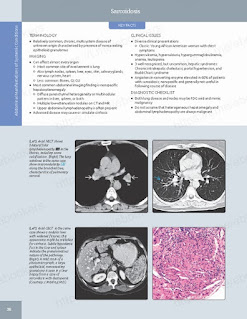 Diagnostic Imaging: Gastrointestinal E-Book 3rd Edition