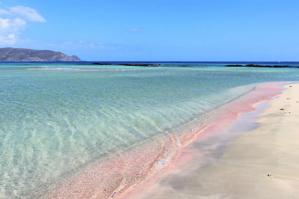 Pink Sands Beaches