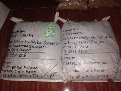 Benih Pesanan DWI KRISTANTO Setelah di packing