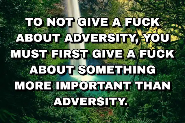 To not give a fuck about adversity, you must first give a fuck about something more important than adversity.