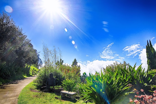 Ali'i Kula Lavender path