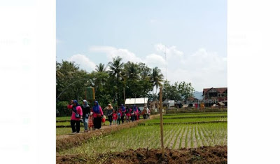 Desa Wisata Brajan Terima Kunjungan dari Bengkulu,