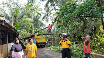 Update Terkini : Akibat Hujan Lebat Disertai Angin, Beberapa Rumah Warga Tertimpa Pohon