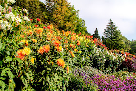 Blumengärten Insel Mainau, Bodensee