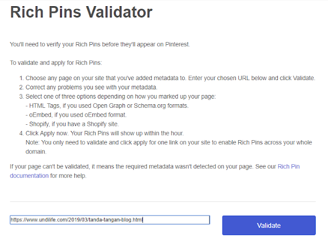 rich pin validator