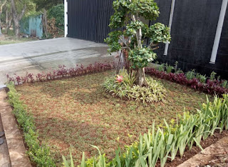 Desain-taman-minimalis-cirendeu