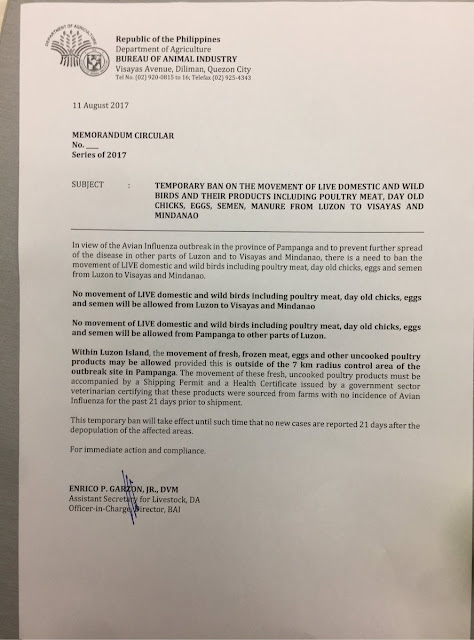 The governor of Pampanga province has declared a state of calamity in the entire province due to a bird flu outbreak in one of its towns, the first in the Philippines. This is after Agriculture Secretary Emmanuel Piñol confirmed that a strain of the avian influenza virus was confirmed in San Luis town, affecting mostly layer poultry farms which produce table eggs.  Around 37,000 fowls, mostly quail and ducks, have died of the Avian Influenza Type A Subtype H5 in recent months. Six farms in Barangays San Carlos and Santa Rita in San Luis, Pampanga were affected by the outbreak.  3 farms suffered a 100 percent death rate of its fowls, while overall mortality rate in the affected area was placed at 34.5 percent.  The Department of Agriculture (DA) has ordered a ban on the transport of poultry from Luzon to other parts of the country until further notice. Fowls and eggs from the controlled area are not allowed to be brought out. This is to ensure that the outbreak will be controlled.  Twelve quarantine teams are guarding exit routes with power sprays to disinfect vehicles coming out of the quarantine area. Ninety quarantine officers have been sent to the area to enforce quarantine measures with assistance from police.  The ongoing crisis may affect the supply of eggs in the market, but not chicken.  Investigation of the outbreak began last Aug. 4, Piñol said. But deaths of quail and ducks began on the last week of April, followed by reported deaths of chickens in May.  The Agriculture Department has yet to confirm the source of the outbreak. The DA is looking into two major angles for the infection: contact with migratory birds and smuggling in of Peking duck.  Research Institute for Tropical Medicine Assistant Director Celia Carlos said tests confirmed that the virus found in the outbreak area did not have the H5N1 strain. Samples will be sent to Australia to confirm its exact strain and results are expected in two weeks.  Meanwhile, around 200,000 fowls within the 1-km radius quarantine area of San Luis town will be culled, burned and buried in the next 3 days to control the outbreak.  Another 7-km radius controlled area has also been declared. The quarantine will last for a period of 90 days.  The farmers whose fowls will be culled shall be compensated by the government. Loan programs will also be made available to poultry farmers affected by the outbreak. "We assured them that government would compensate and, initially, it was agreed that we would compensate at a rate of P80 per head," Sec. Piñol said.  Avian influenza is a viral infection that spreads among birds but can infect humans as well. As of Friday, authorities have not received any report of human infection.  According to the World Health Organization (WHO), human infection is primarily acquired through direct contact with infected animals. They also clarified that there is no evidence that the avian flu can be acquired by eating properly cooked eggs or poultry.  The infection may cause diseases such as mild conjunctivitis or swelling of the eyes, severe pneumonia and even death. Interaction with infected people does not result in "efficient transmission" of the flu.  Health Secretary Paulyn Ubial said the outbreak is still under the DA's investigation and advised the public to take precautionary measures against the flu. "Do not go near wild birds or go to farms with fowls! If you have flu symptoms that last longer than 3 days or feel very weak, see a doctor or go to the nearest hospital for testing if its bird flu!" she said.