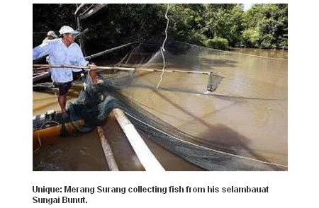 Selambau Mulu Berawan