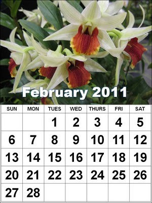 printables calendar 2011. Free Printable Calendar 2011