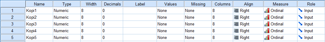 Tampilan Variable View SPSS