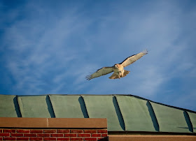 Christo flying above the Christodora building.