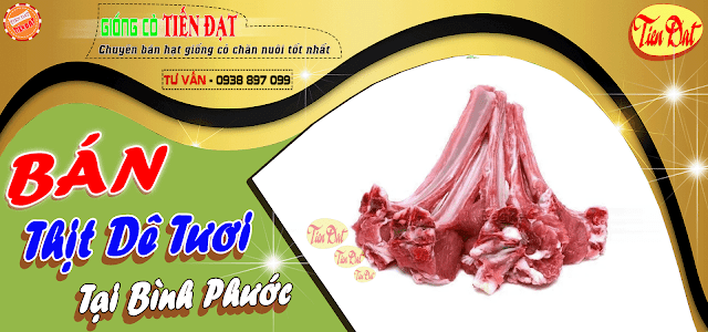 Địa chỉ bán thịt dê tươi tại Bình Phước giá rẻ nhất thị trường