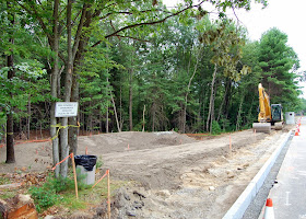 a rain garden to help with drainage