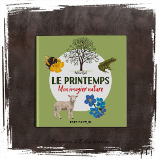 Collection Mon imagier Nature : Le printemps, l'été, l'automne, l'hiver, d'Adeline Ruel, Editions Flammarion Jeunesse