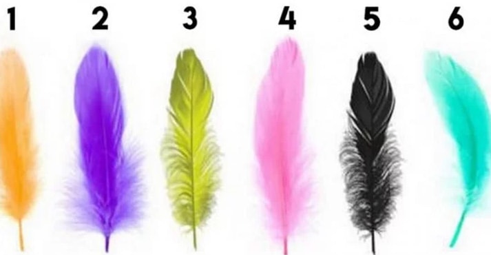 Psychology Test: Choose A Feather And Discover The Hidden Traits Of Your Personality