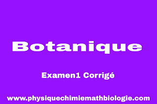 Examen1 corrigé de Botanique PDF (L2-S2-SNV)