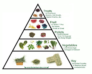 Image result for rabbit diet diagram